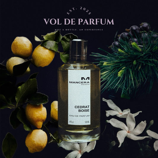 Mancera Cedrat Boise — decant — grafika z cytrusami — Vol de Parfum